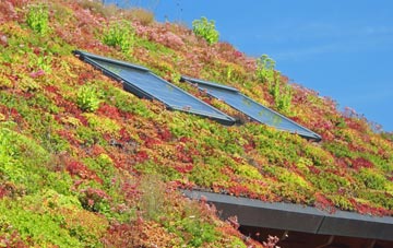 Beeslack living roof systems