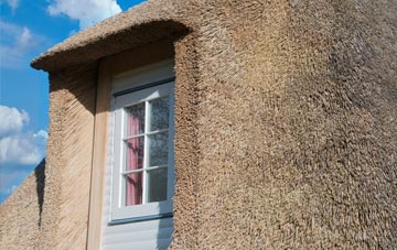 Beeslack thatch roof disadvantages